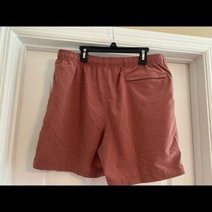 Chubbie swim shorts